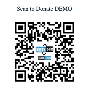 Payment QR code variable amount